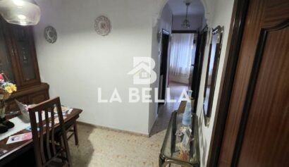 WhatsApp Image 2026-01-27 at 11.12.36