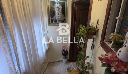 WhatsApp Image 2026-01-27 at 11.12.36 (9)