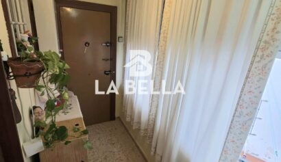 WhatsApp Image 2026-01-27 at 11.12.37 (6)