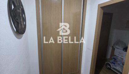 WhatsApp Image 2026-02-12 at 19.11.34