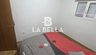 WhatsApp Image 2026-02-12 at 19.11.35 (3)