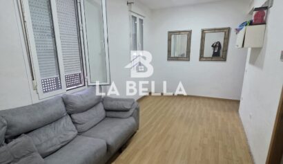 WhatsApp Image 2026-02-12 at 19.11.35