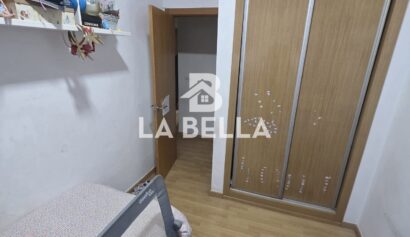 WhatsApp Image 2026-02-12 at 19.11.36 (1)