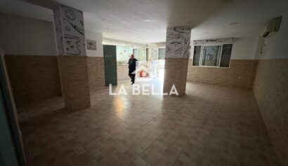 WhatsApp Image 2026-03-04 at 16.49.26 (1)