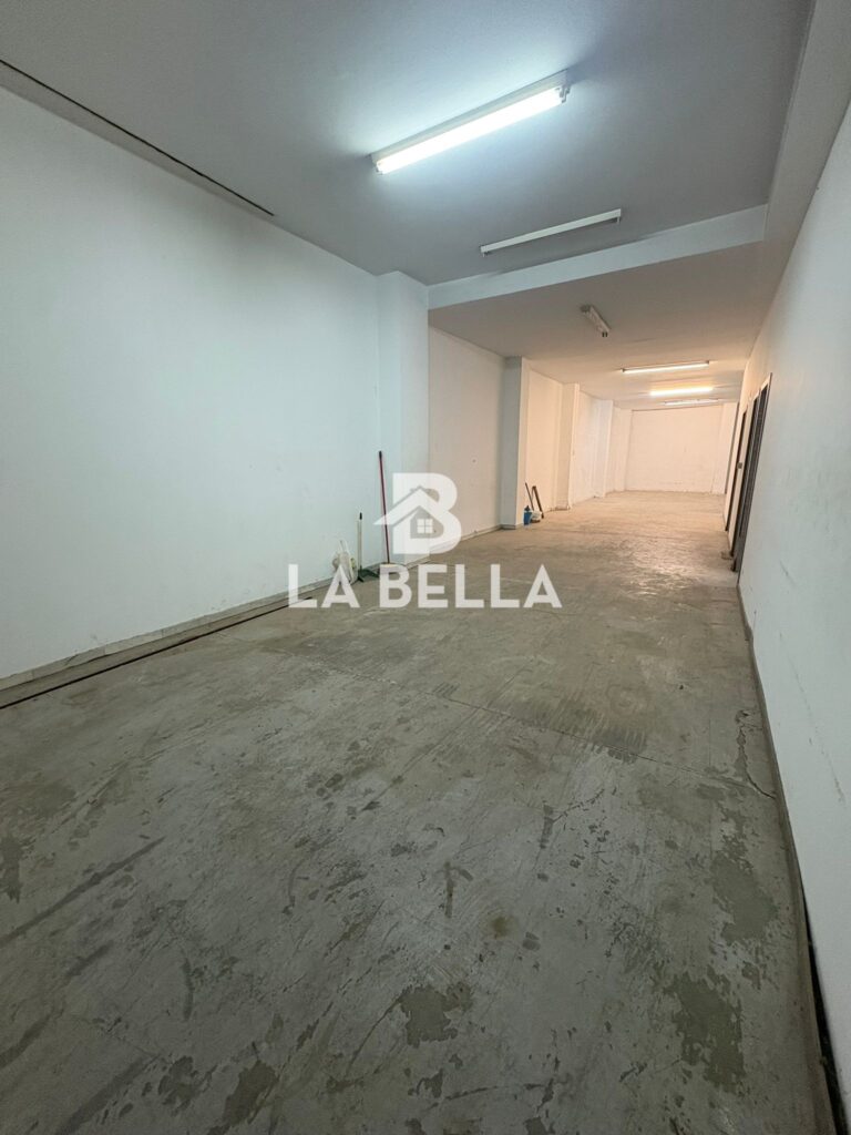 WhatsApp Image 2026-03-04 at 16.55.44