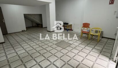 WhatsApp Image 2026-03-04 at 16.55.45 (1)