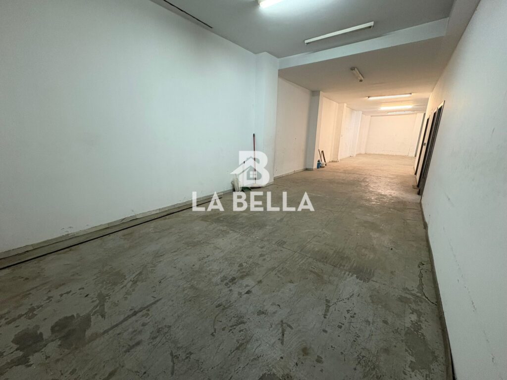 WhatsApp Image 2026-03-04 at 16.55.45