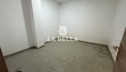 WhatsApp Image 2026-03-04 at 16.55.49 (1)