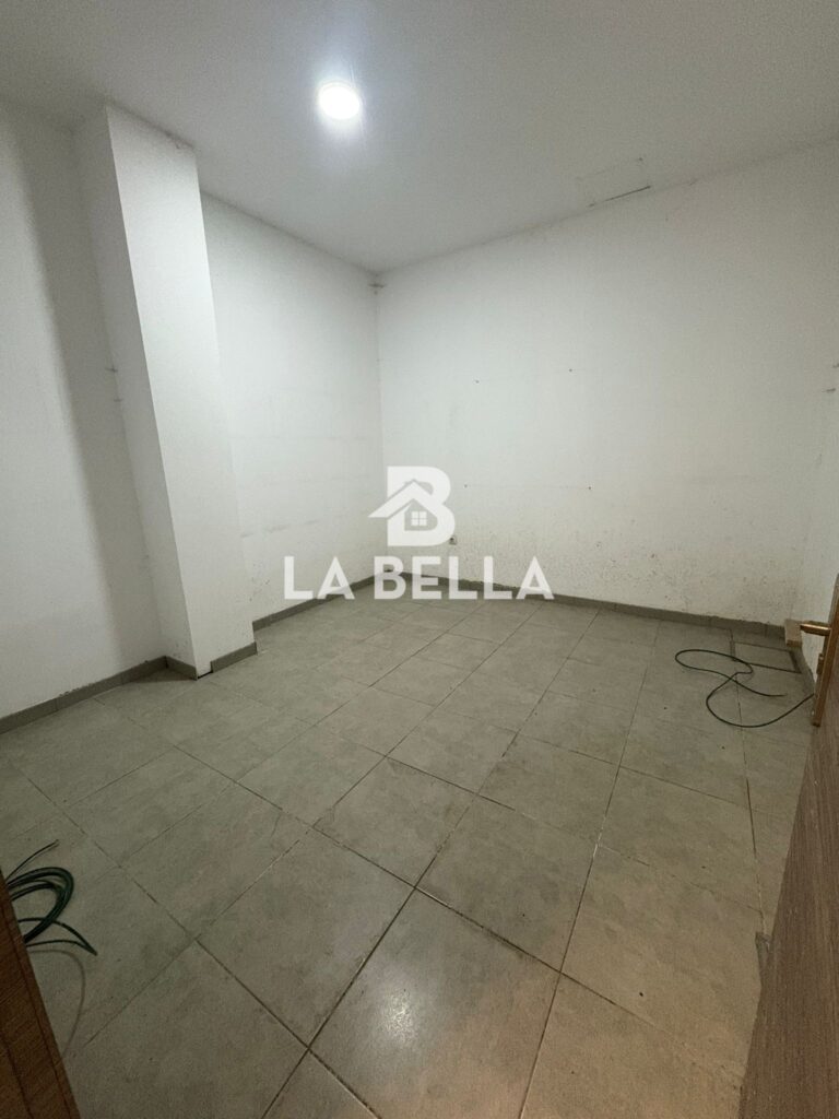 WhatsApp Image 2026-03-04 at 16.55.49