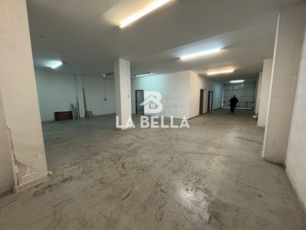 WhatsApp Image 2026-03-04 at 16.55.50 (1)