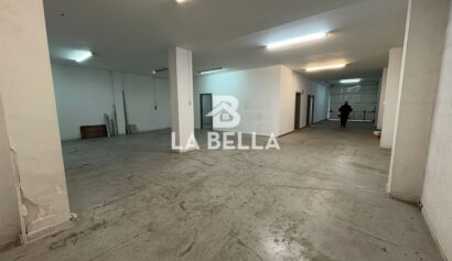 WhatsApp Image 2026-03-04 at 16.55.50 (1)