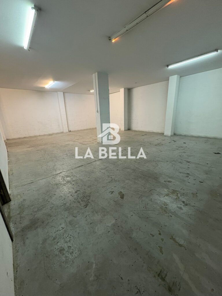 WhatsApp Image 2026-03-04 at 16.55.52