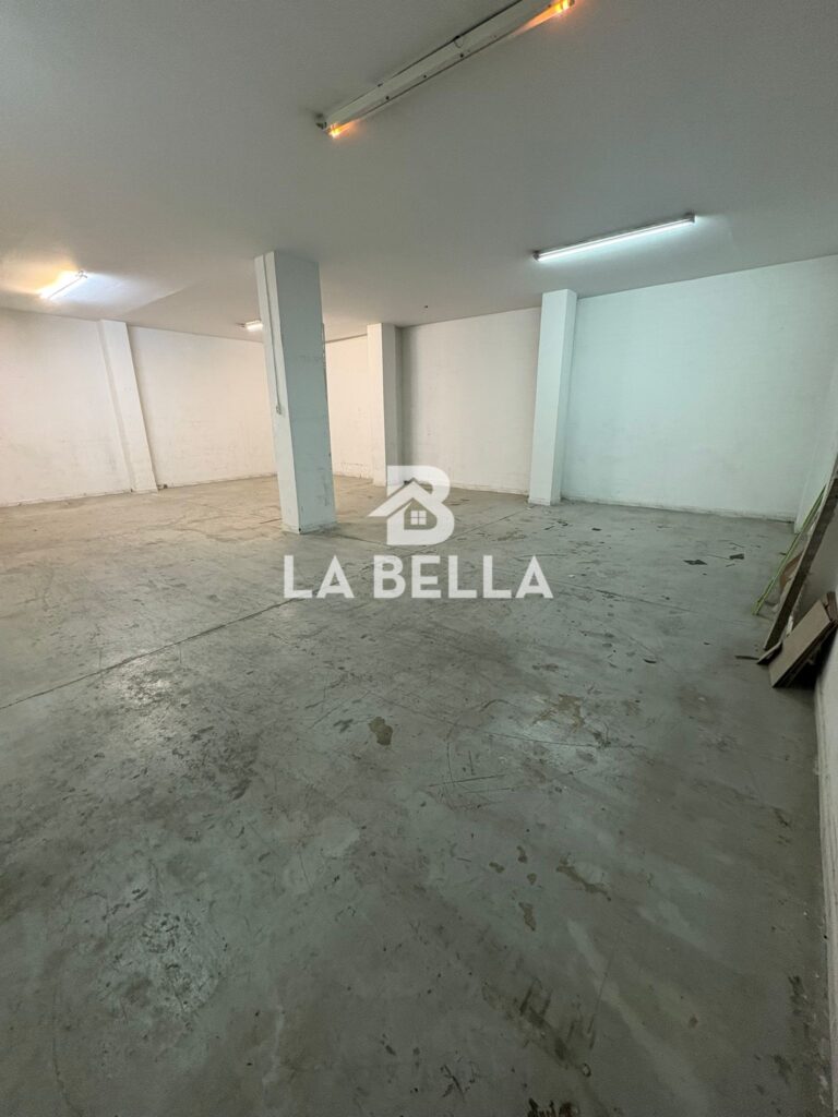 WhatsApp Image 2026-03-04 at 16.55.53