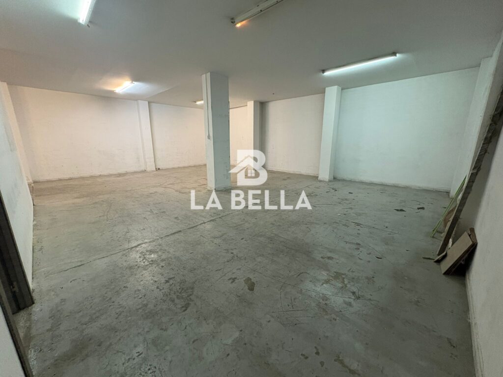 WhatsApp Image 2026-03-04 at 16.55.54