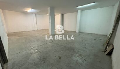 WhatsApp Image 2026-03-04 at 16.55.54