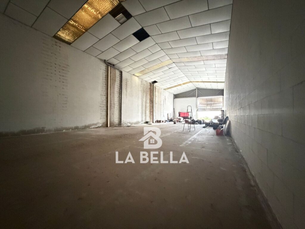 WhatsApp Image 2026-03-06 at 11.49.47 (1)