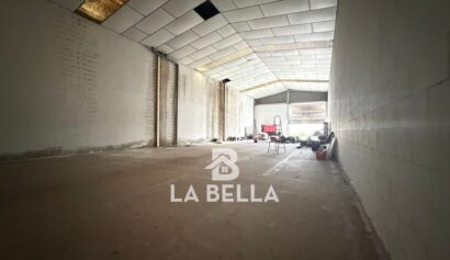 WhatsApp Image 2026-03-06 at 11.49.47