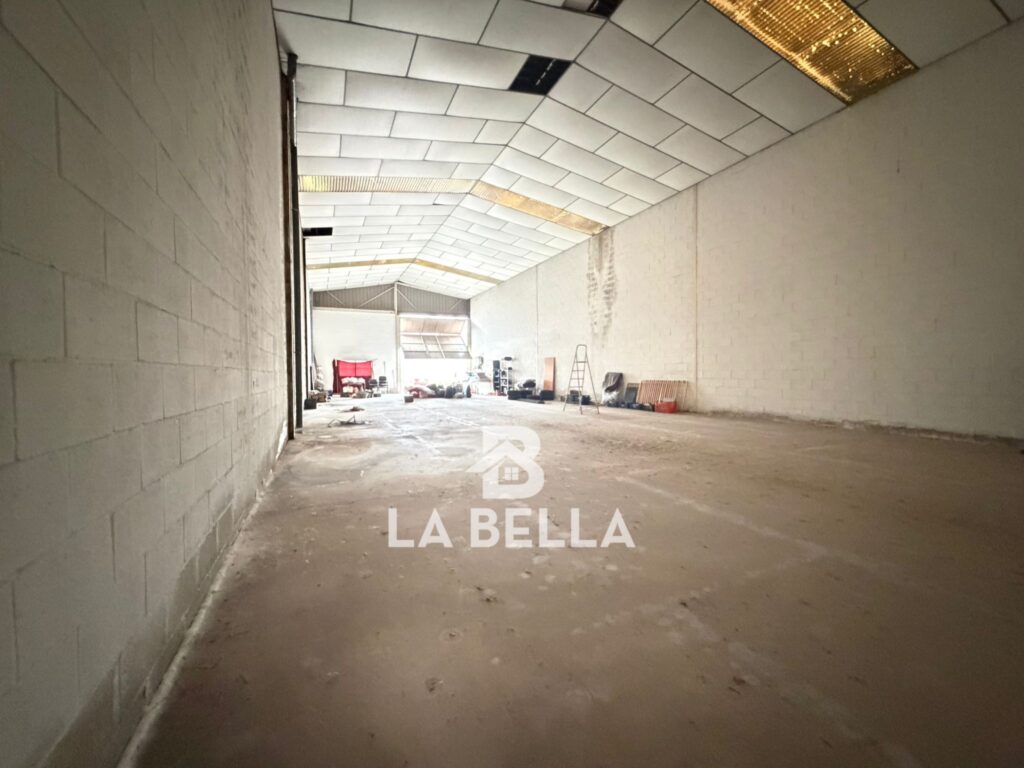 WhatsApp Image 2026-03-06 at 11.49.48 (1)