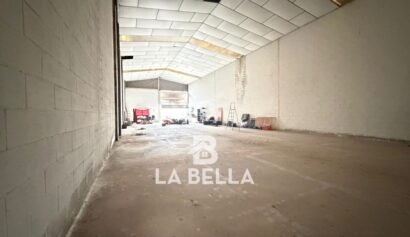 WhatsApp Image 2026-03-06 at 11.49.48 (1)