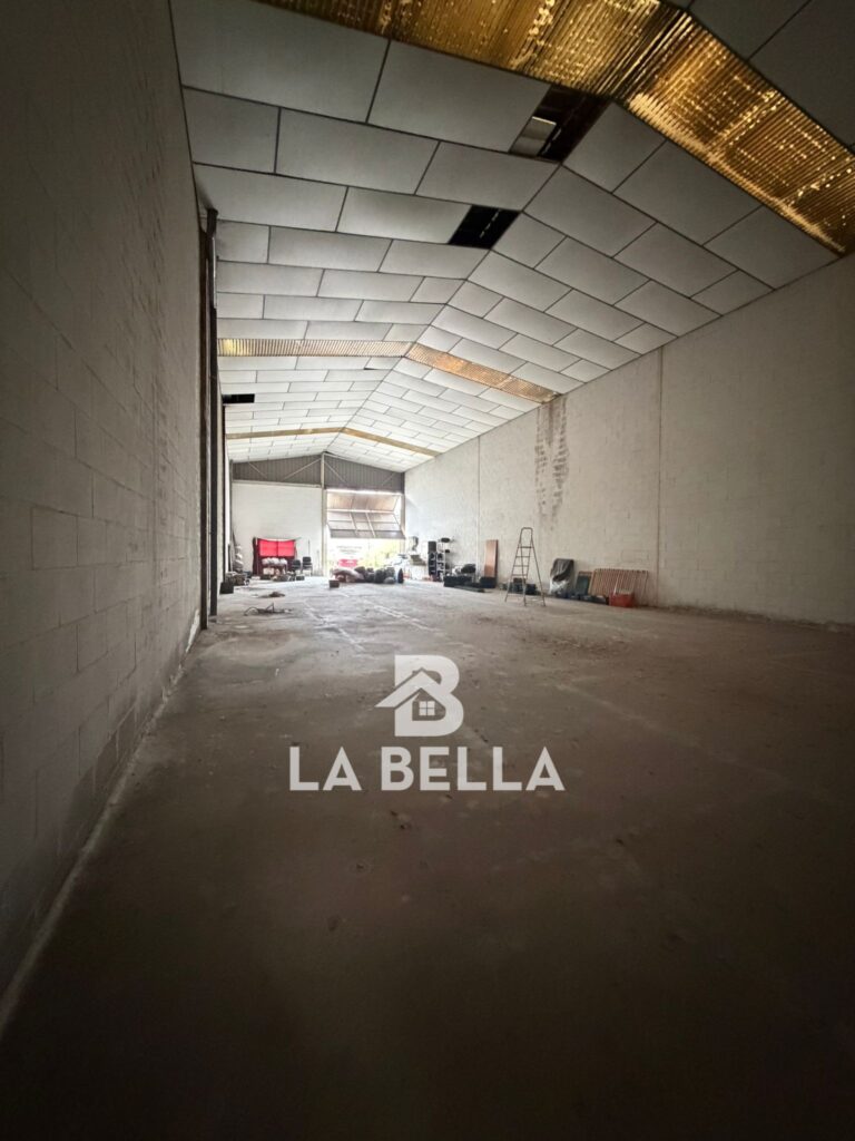 WhatsApp Image 2026-03-06 at 11.49.48