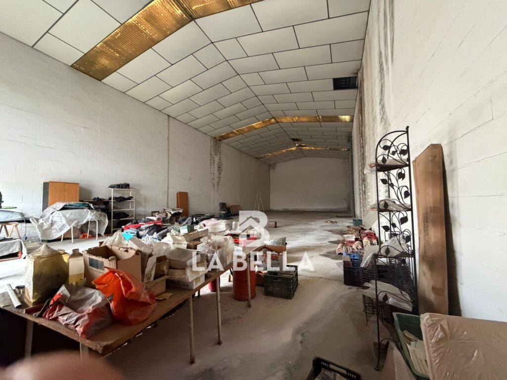 WhatsApp Image 2026-03-06 at 11.49.49 (1)