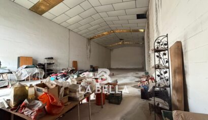 WhatsApp Image 2026-03-06 at 11.49.49 (1)