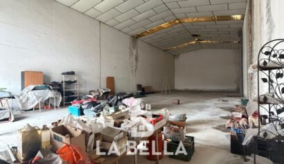 WhatsApp Image 2026-03-06 at 11.49.49