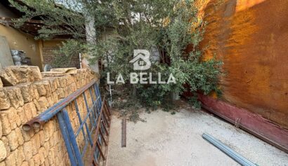 WhatsApp Image 2024-09-17 at 19.23.26 (3)