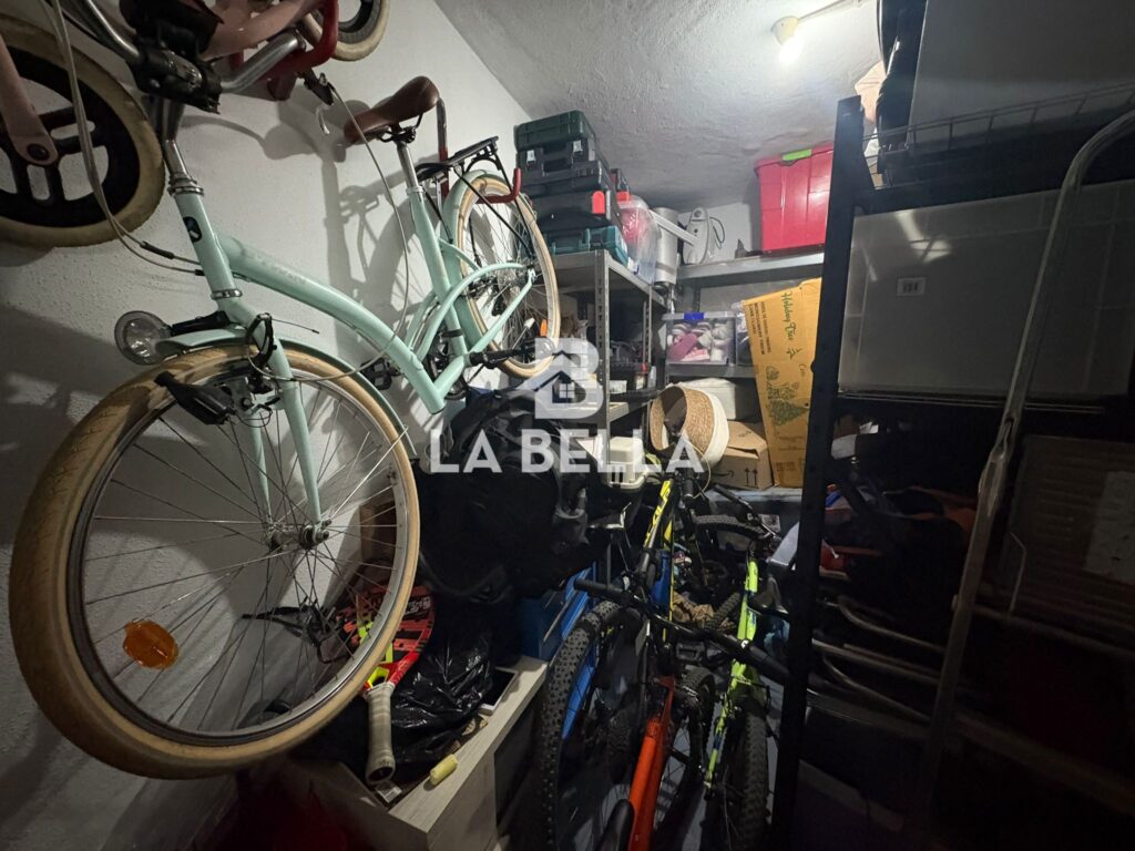 WhatsApp Image 2026-03-17 at 13.31.34 (1)