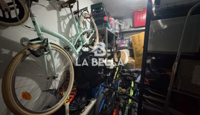 WhatsApp Image 2026-03-17 at 13.31.34 (1)