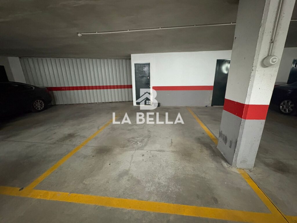 WhatsApp Image 2026-03-17 at 13.31.35 (1)