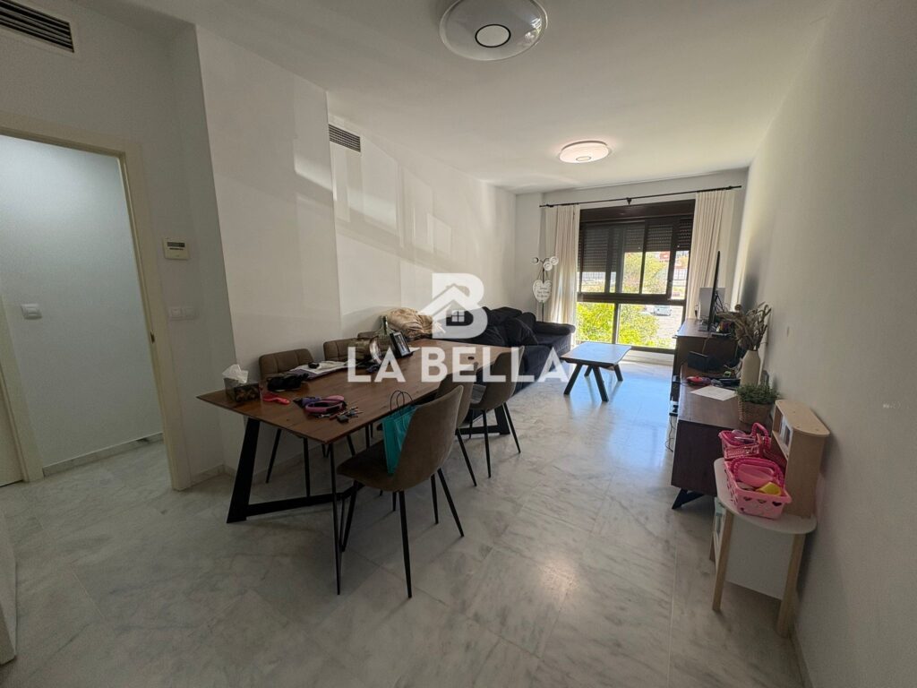 WhatsApp Image 2026-03-17 at 13.31.37 (1)