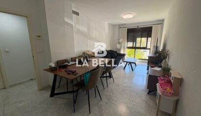 WhatsApp Image 2026-03-17 at 13.31.37 (1)