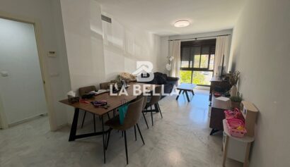 WhatsApp Image 2026-03-17 at 13.31.37 (2)