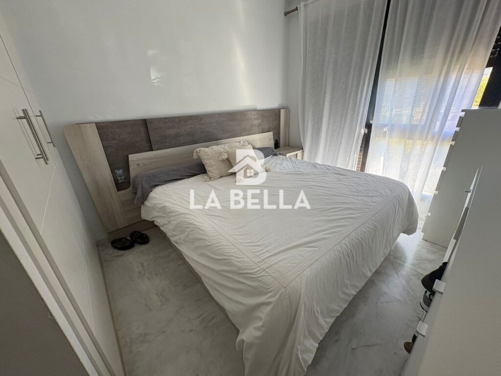 WhatsApp Image 2026-03-17 at 13.31.47 (1)