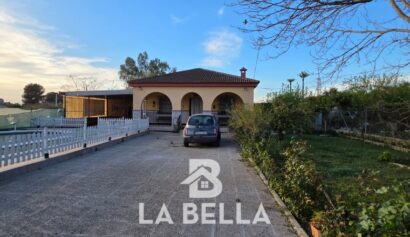 WhatsApp Image 2026-03-19 at 16.57.08 (1)