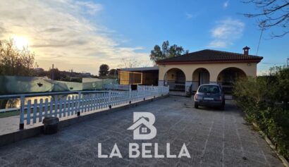 WhatsApp Image 2026-03-19 at 16.57.08