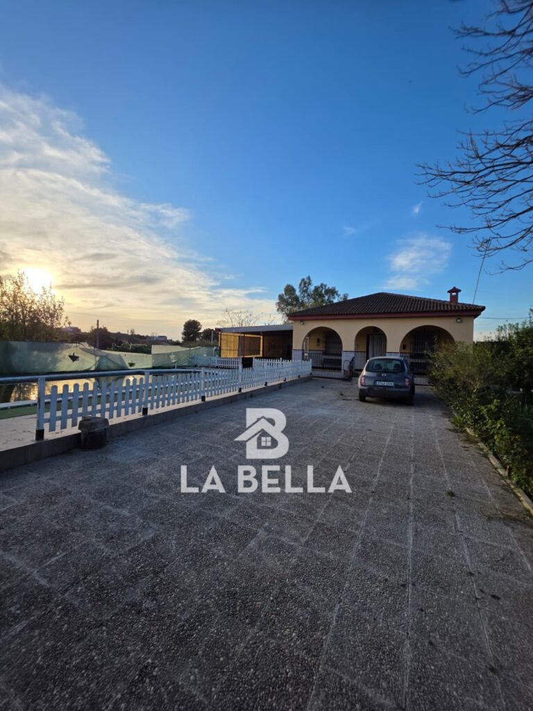 WhatsApp Image 2026-03-19 at 16.57.08