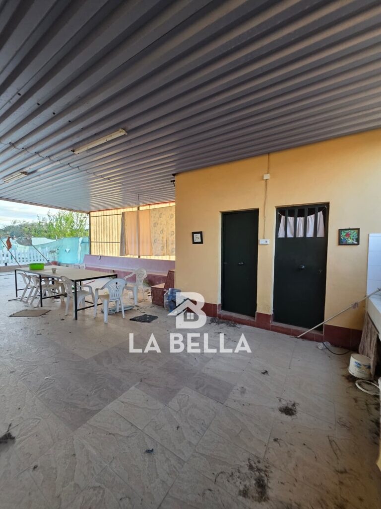 WhatsApp Image 2026-03-19 at 16.57.11 (1)