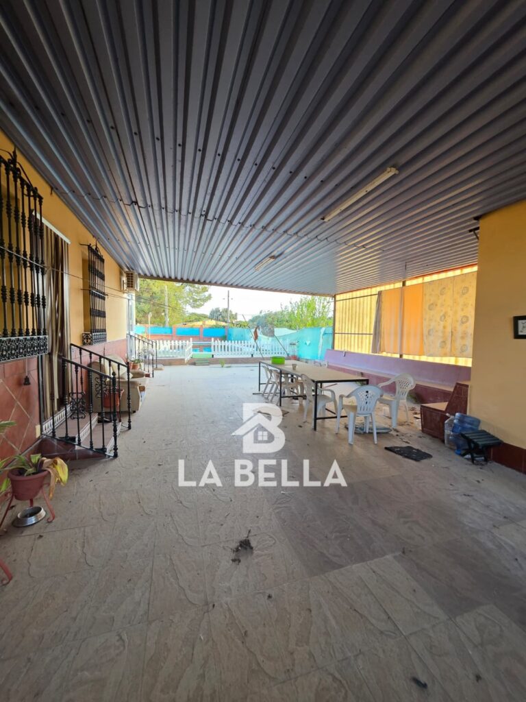 WhatsApp Image 2026-03-19 at 16.57.11 (2)