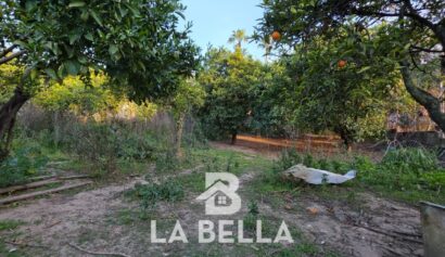 WhatsApp Image 2026-03-19 at 16.57.13 (2)