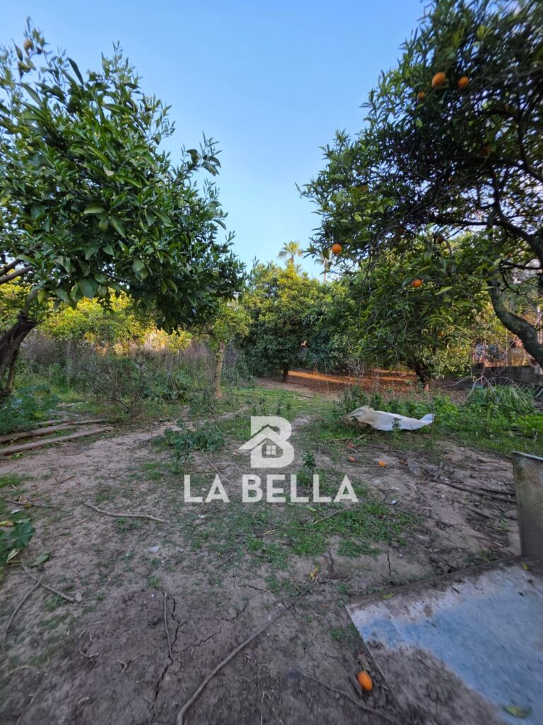 WhatsApp Image 2026-03-19 at 16.57.13 (2)