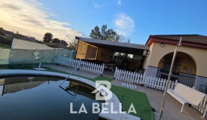 WhatsApp Image 2026-03-19 at 16.57.13