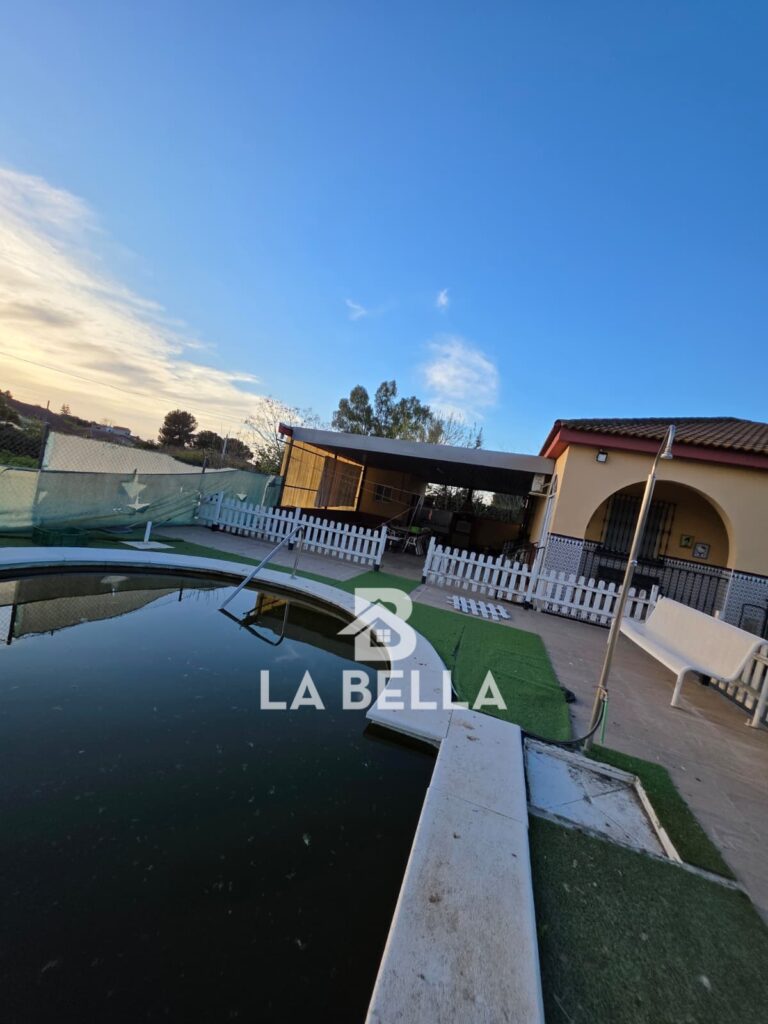 WhatsApp Image 2026-03-19 at 16.57.13