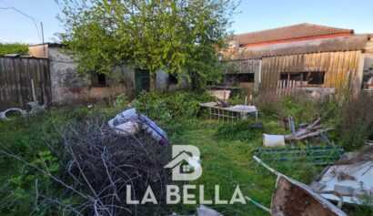 WhatsApp Image 2026-03-19 at 16.57.14 (1)