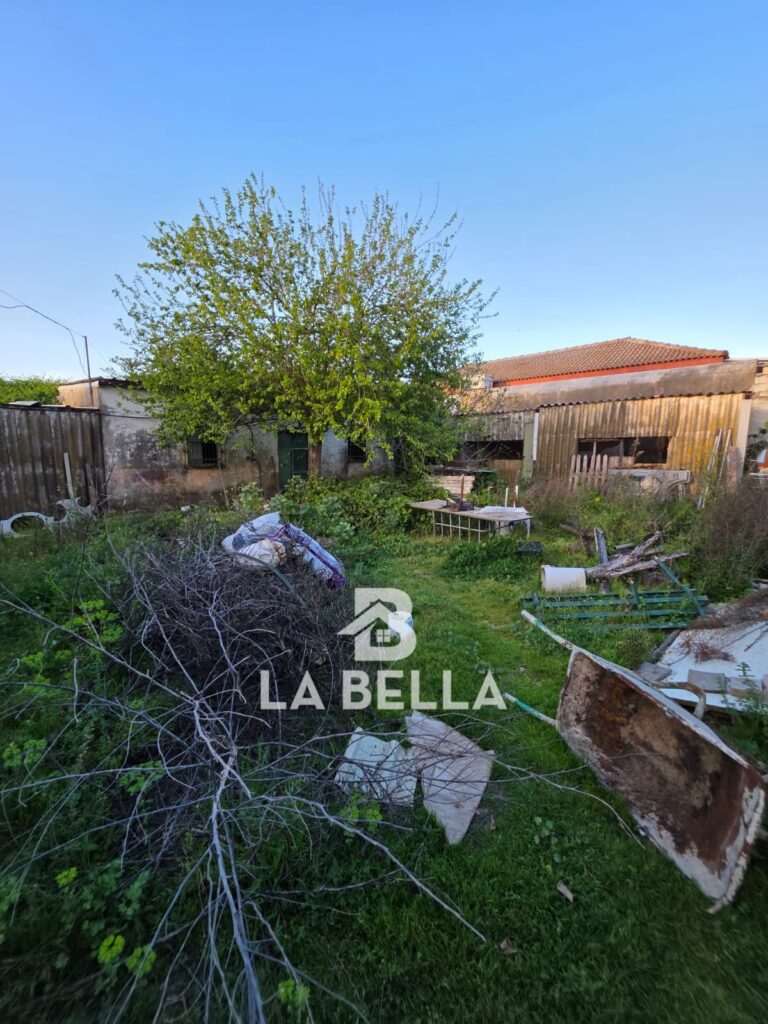 WhatsApp Image 2026-03-19 at 16.57.14 (1)