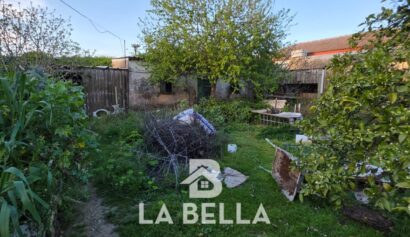 WhatsApp Image 2026-03-19 at 16.57.14 (2)