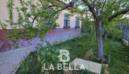 WhatsApp Image 2026-03-19 at 16.57.14 (3)