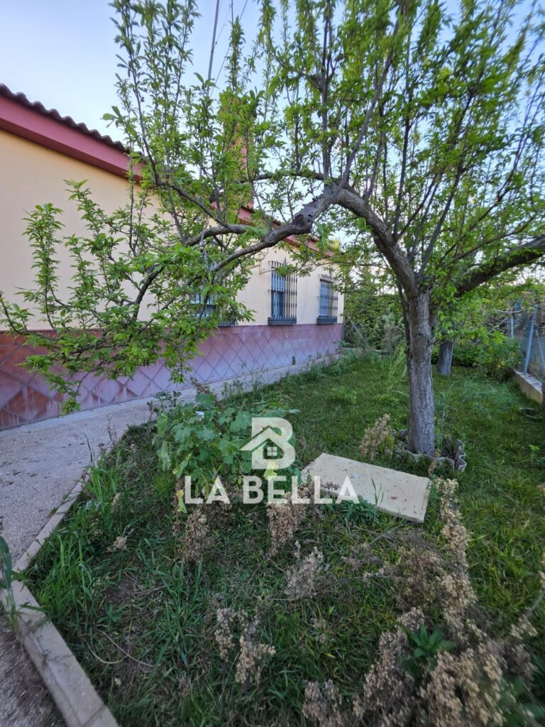 WhatsApp Image 2026-03-19 at 16.57.14 (3)