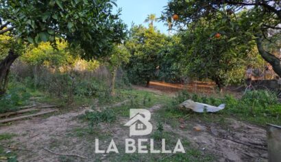 WhatsApp Image 2026-03-19 at 16.57.14